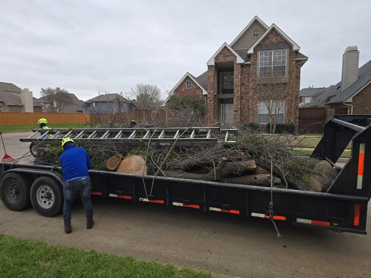 Expert Lot Clearing with proper safety equipment in Bristow